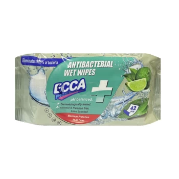 Անձեռոցիկ խոնավ Ecca հակաբակտերալ 42 հատ ||Влажные салфетки Ecca антибактериальный 42 шт. ||Ecca antibacterial wet wipes 42 pcs.