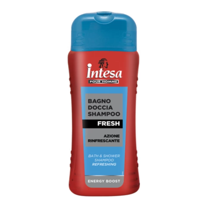 Լոգանքի գել Intesa Fresh 500 մլ 