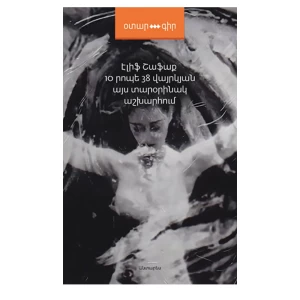 Book "10 minutes 38 seconds in this strange world"