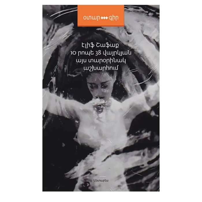 Book "10 minutes 38 seconds in this strange world"