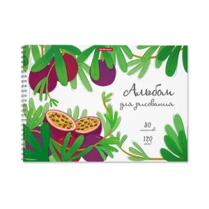 Ալբոմ նկարչական EK A4 30 թերթ 58581