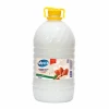 Հեղուկ օճառ Мечта 5 լ ||Жидкое мыло Мечта 5 л ||Liquid soap Мечта 5 l