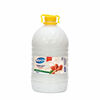 Հեղուկ օճառ Мечта 5 լ ||Жидкое мыло Мечта 5 л ||Liquid soap Мечта 5 l