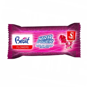 Toilet block Brait 40 gr