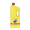 Մաքրող միջոց Domestos ունիվերսալ 1850 մլ ||Чистящее средство Domestos универсальный 1850 ml ||Cleaning agent Domestos universal 1850 ml