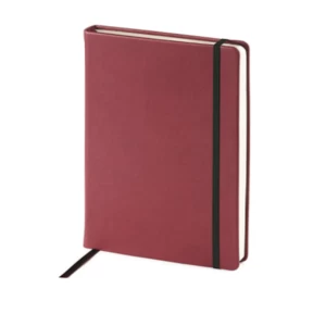 Тетрадь с клетчатой резинкой B&V Velvet 100 листов