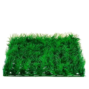 Դեկորատիվ խոտ ||Декоративная трава ||Ornamental grass