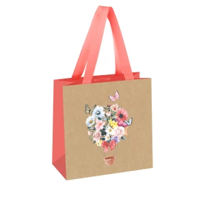 Gift bag Meshu 20x20x10 cm