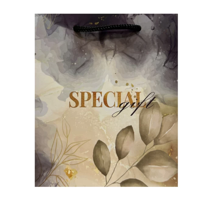 Նվերի տոպրակ Special Gift 15x14 սմ ||Подарочный пакет Special Gift 15x14 см||Gift bag Special Gift 15x14 cm