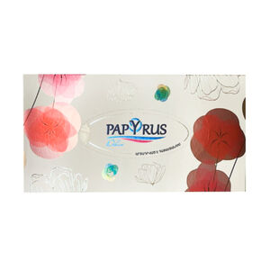 Tissue box Papyrus Deluxe 3 ply 100 pcs