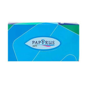 Tissue box Papyrus 2 ply 100 pcs