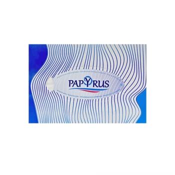 Անձեռոցիկ տուփով Papyrus 2 շերտ 130 հատ ||Коробка для салфеток Папирус 2 слоя 130 шт. ||Box for napkins Papyrus 2 layers 130 pcs.