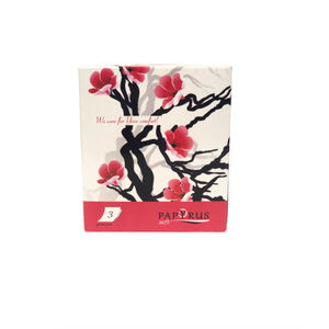 Tissue box Papyrus 3 layers 60 pcs