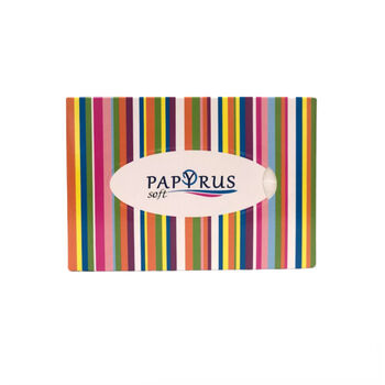 Անձեռոցիկ տուփով Papyrus snowfull 3 շերտ 70 հատ 