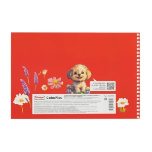 Ալբոմ նկարչական Комус Класс ColorPic A4 24 թերթ 