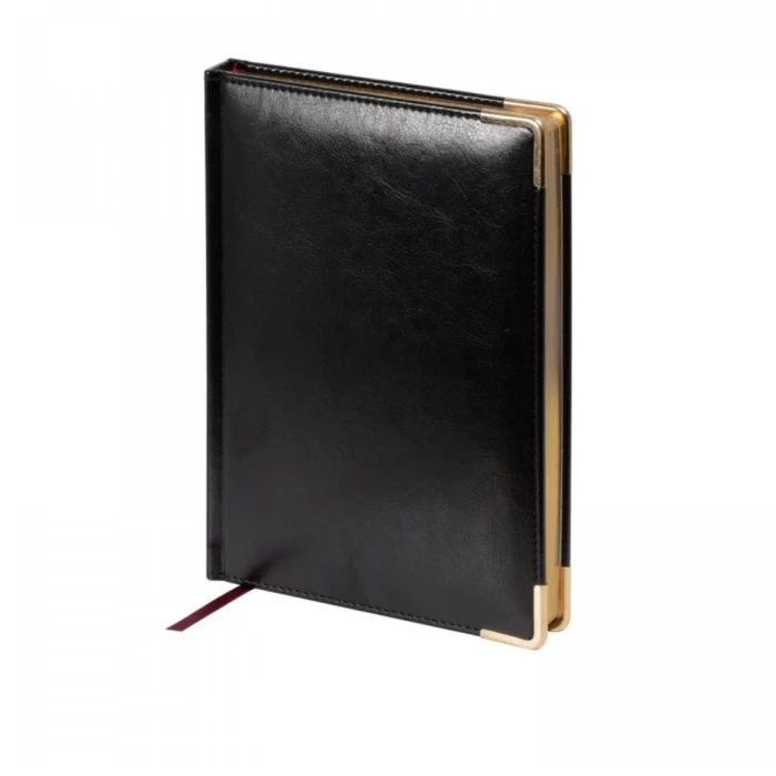 Diary Alt® Sidney A5 undated 272 pages