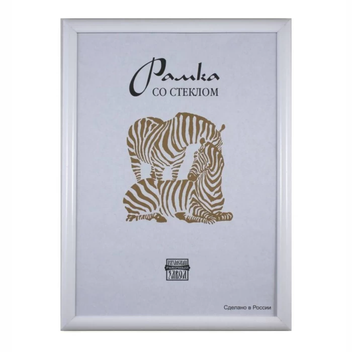 Zebra Frame A3 30x40 cm, plastic 14 mm