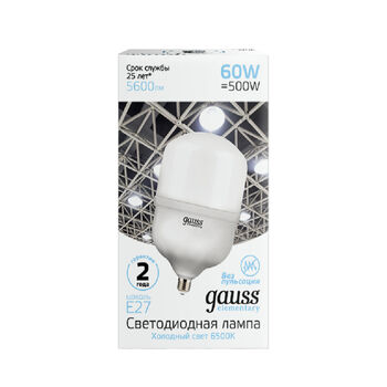 Լամպ Gauss Elementary LED E27 60W T160 6500K 