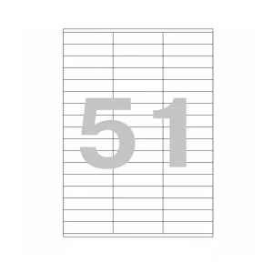 Թուղթ Promega Label 70х16,9 մմ 51 բաժին 100 թերթ 