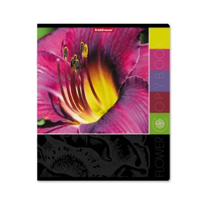 Тетрадь в клетку EK А5 96 листов 