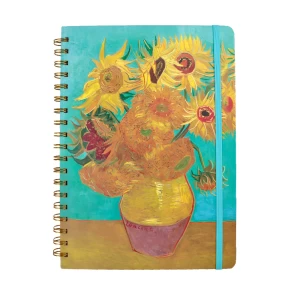 Блокнот Van Gogh линия B5 90 листов 