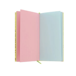 Նոթատետր Феникс+ А6 120 թերթ 